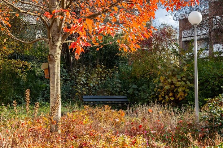 Foto 22 van Loseweg 115