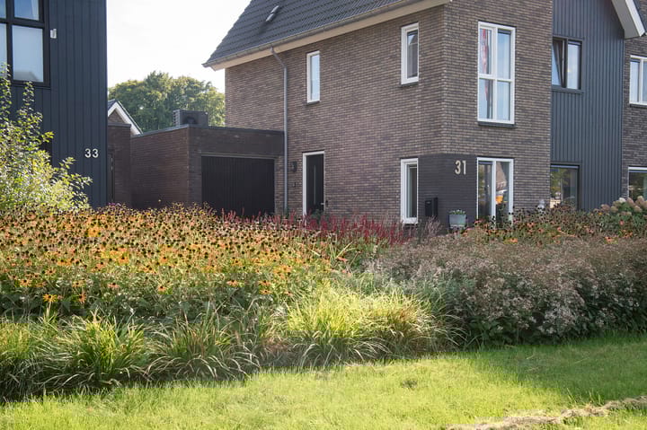 Photo 52 of Broeder Silvesterlaan 31