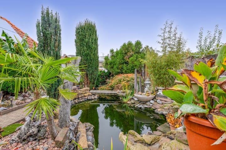 Foto 48 van Nieuwstraat 29