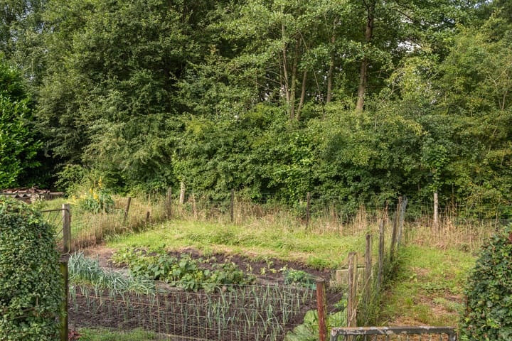 Photo 38 of Oranjekanaal Z.Z. 13-B