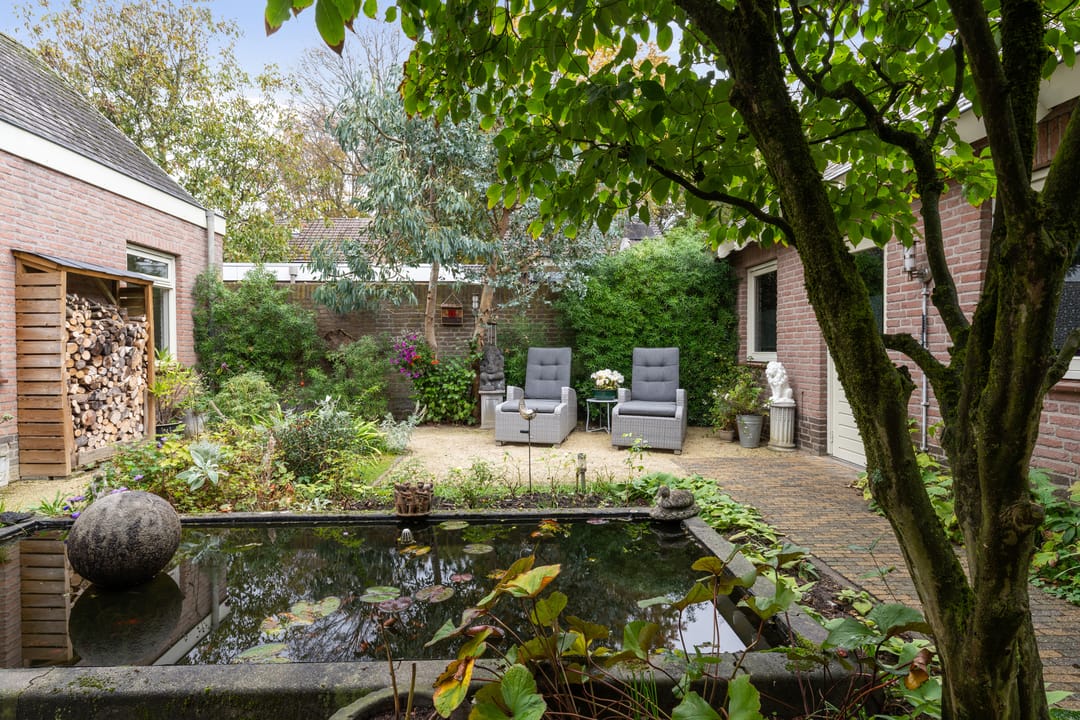 Foto 47 van Chris Mollaan 5