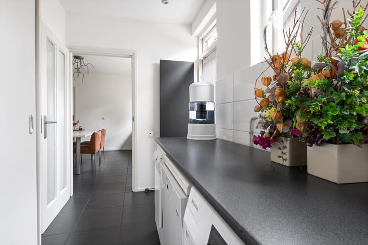 Foto 21 van Chris Mollaan 5