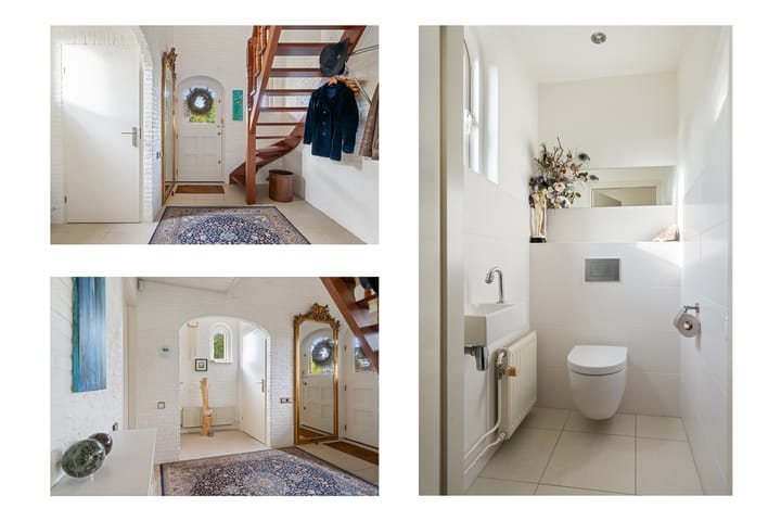 Foto 24 van Chris Mollaan 5