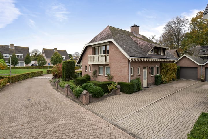 Foto 5 van Chris Mollaan 5