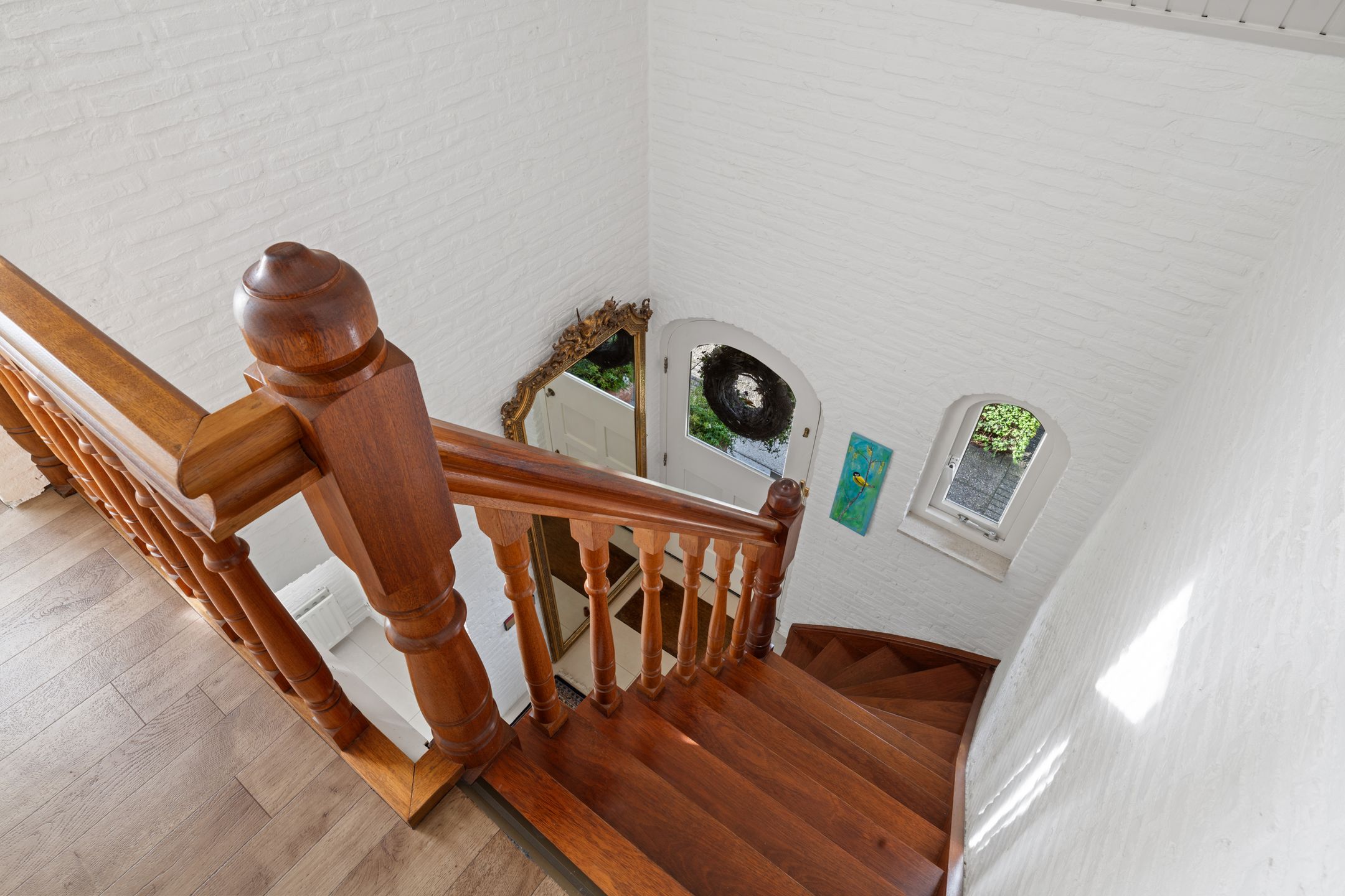 Foto 24 van Chris Mollaan 5