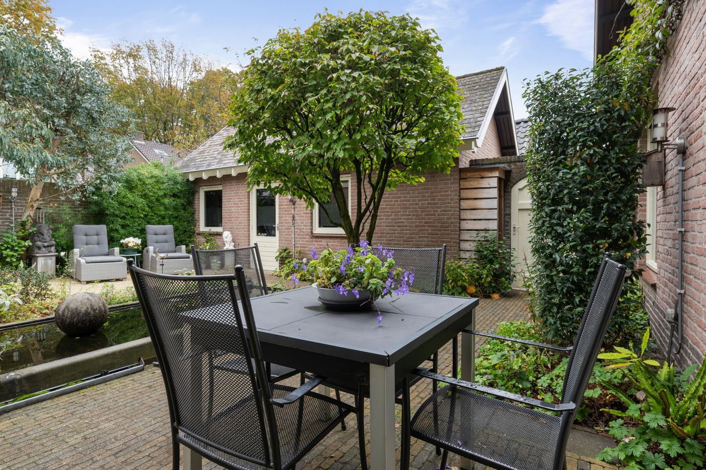 Foto 4 van Chris Mollaan 5