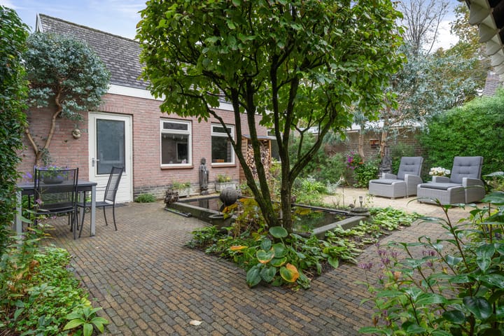 Foto 51 van Chris Mollaan 5