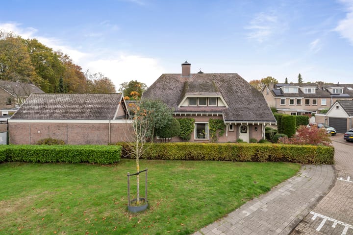 Foto 57 van Chris Mollaan 5