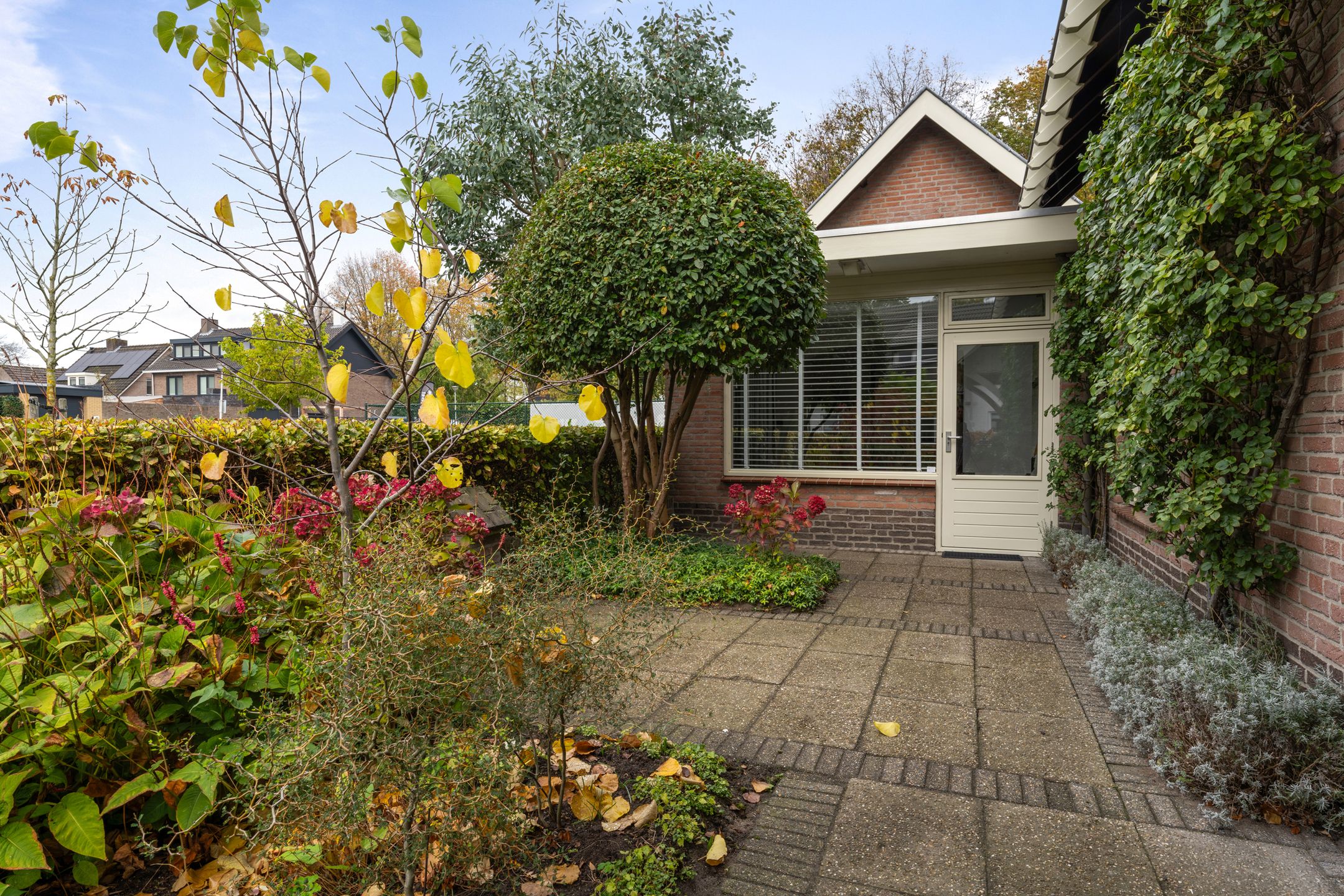 Foto 39 van Chris Mollaan 5