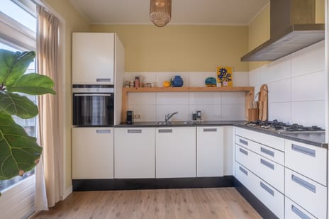 Iepenlaan 16 tertiary image