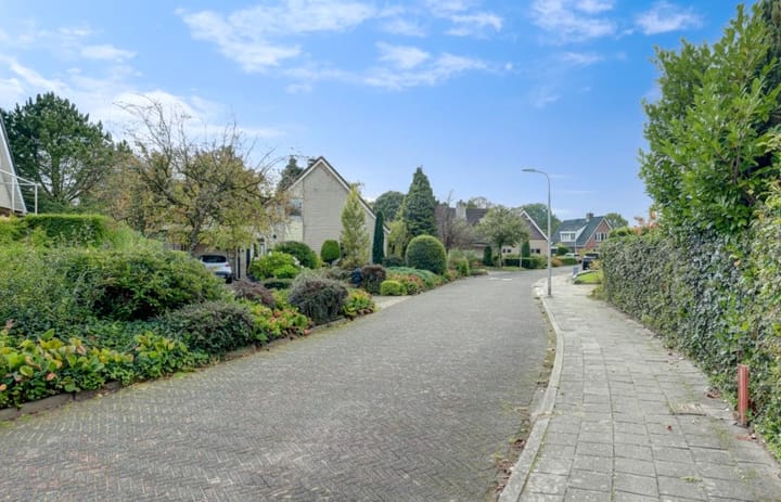 Photo 5 of Zwanebloem 32