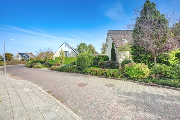 Photo 6 of Zwanebloem 32