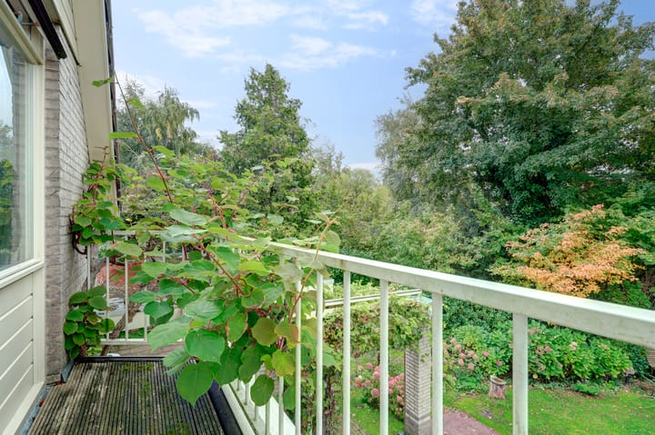 Photo 37 of Zwanebloem 32