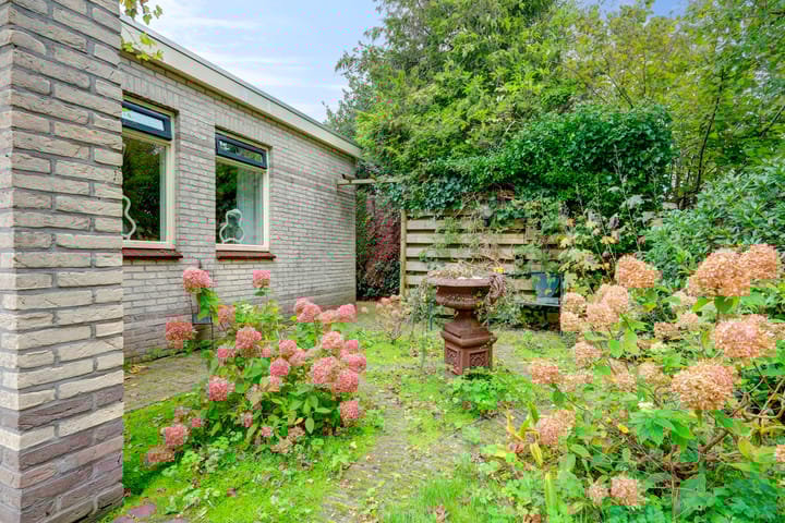 Photo 50 of Zwanebloem 32