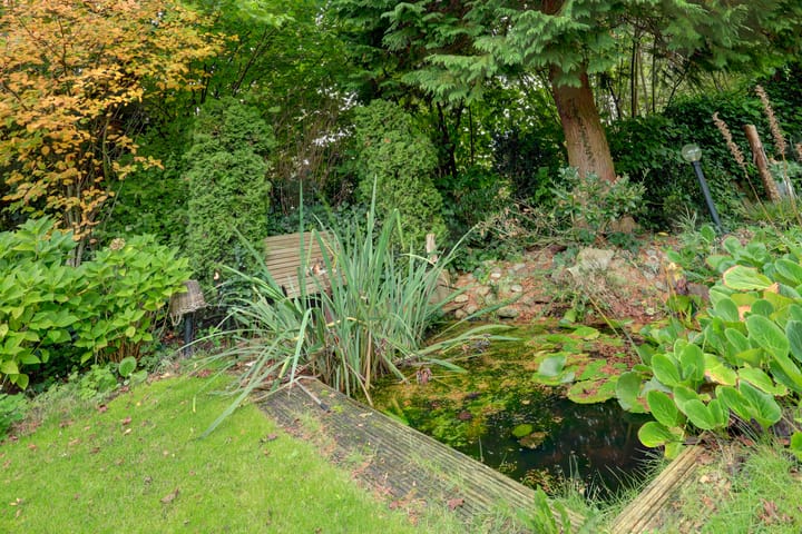 Photo 53 of Zwanebloem 32