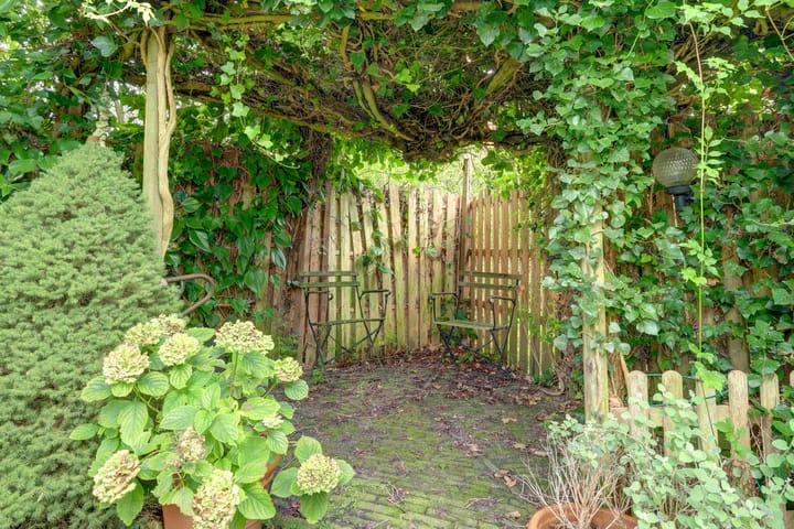 Photo 54 of Zwanebloem 32