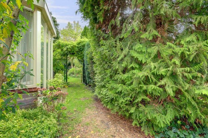 Photo 56 of Zwanebloem 32