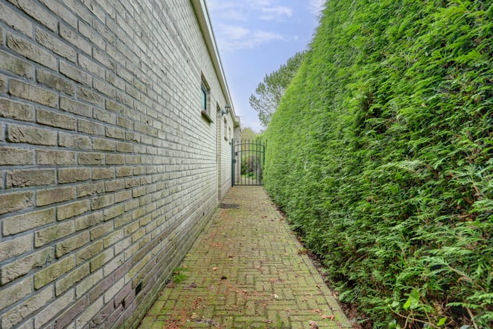 Photo 57 of Zwanebloem 32