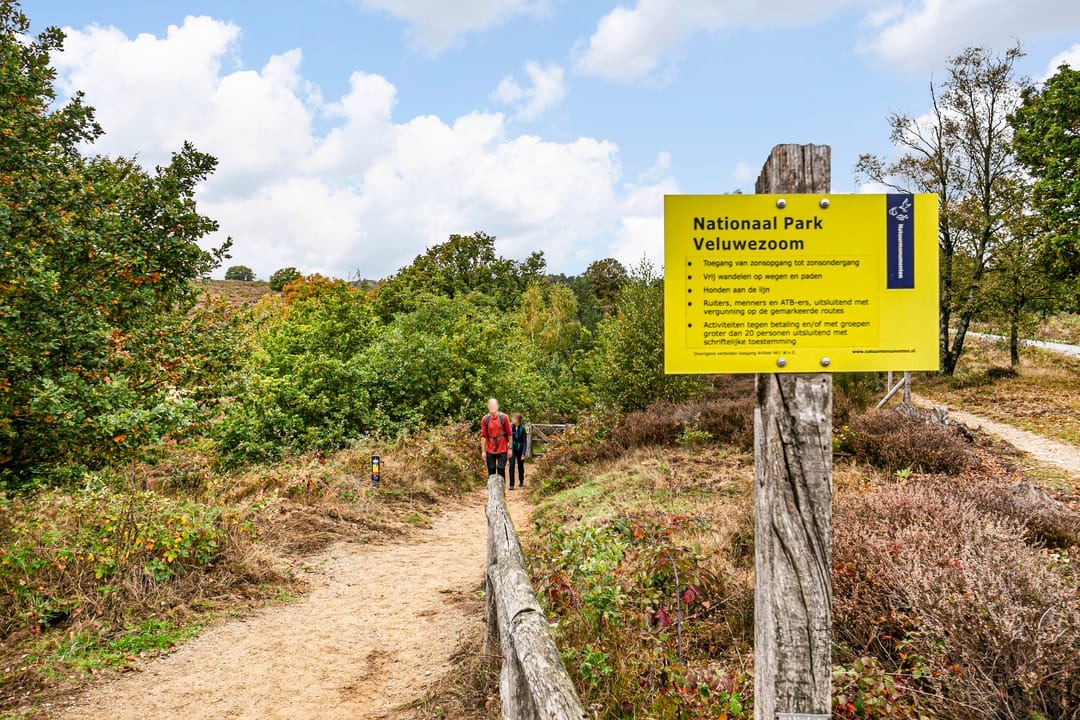 Foto 31 van Europalaan 33