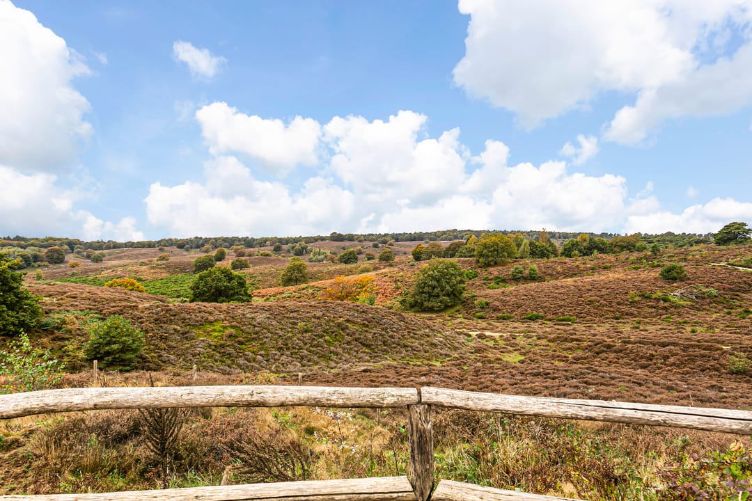 Foto 32 van Europalaan 33