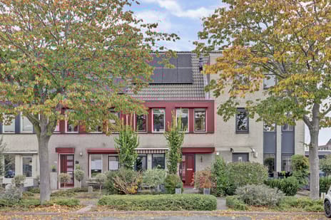 Amaliastein thumbnail