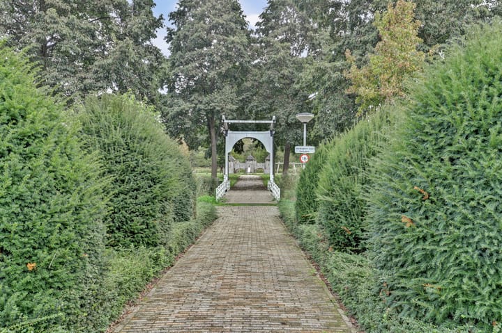 Photo 32 of Amaliastein 77