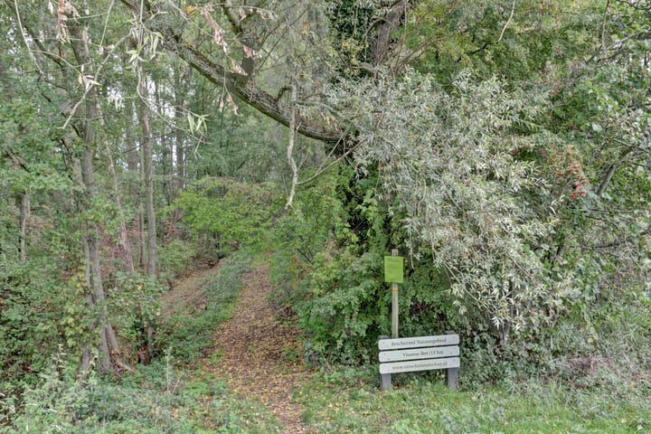 Photo 36 of Amaliastein 77