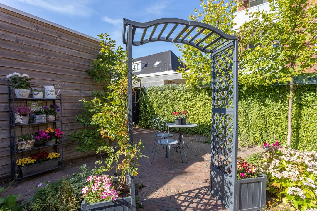 Foto 43 van Gouden Harplaan 4