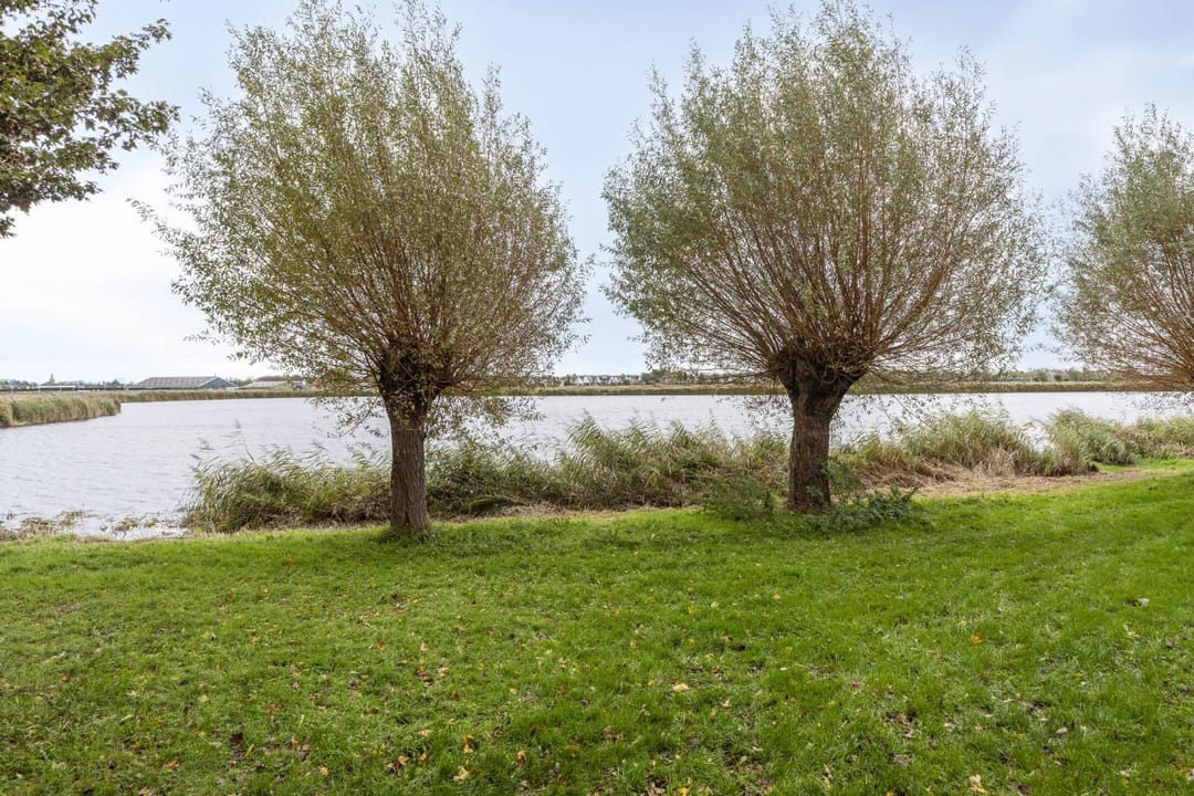 Foto 32 van Anna Reijnvaanstraat 64