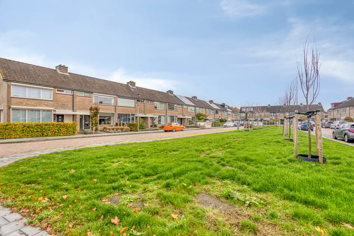 Foto 33 van Brederolaan 80