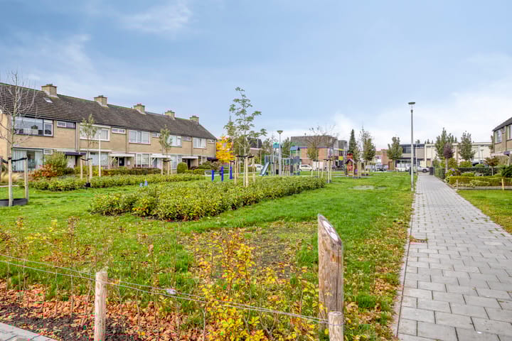 Foto 34 van Brederolaan 80