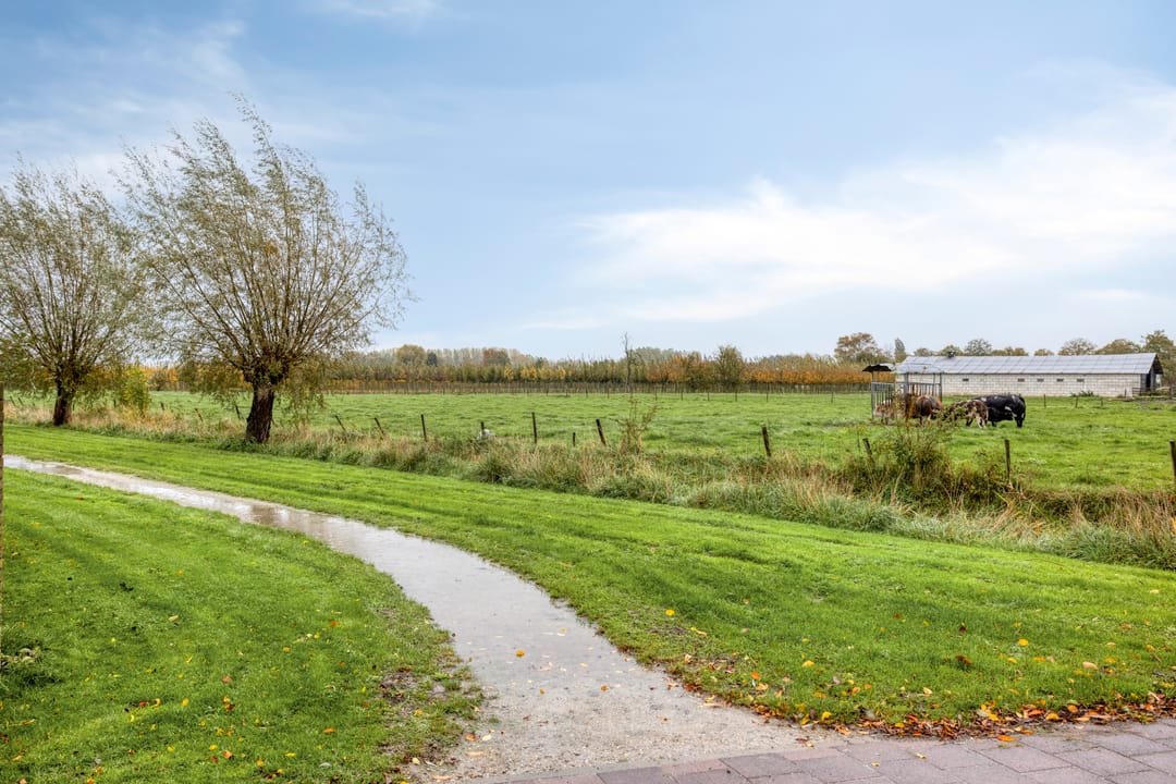 Foto 32 van Brederode 8