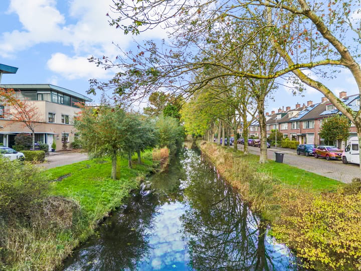 Foto 50 van Botterstraat 28