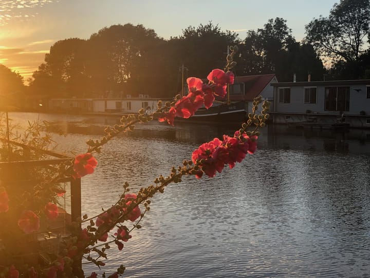 Photo 42 of De Oeverlanden 211