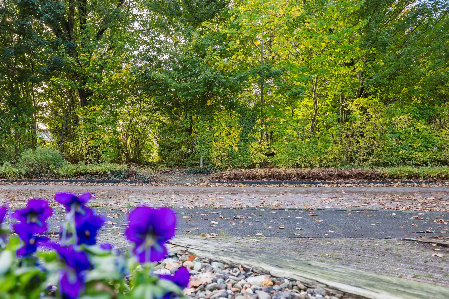 Foto 14 van Compagnonsstrjitte 149