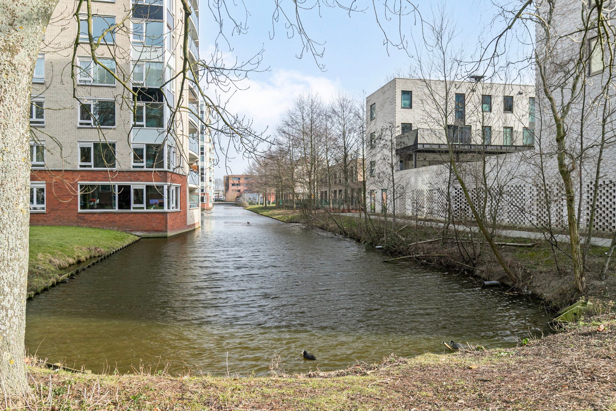 Photo 9 of Palladiostraat 95