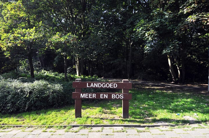 Foto 41 van Landréstraat 31