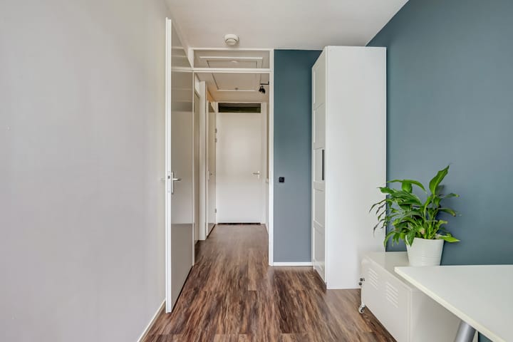 Foto 22 van Groot Horloo 49