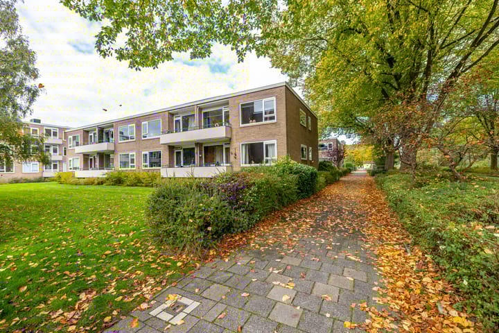 Foto 6 van Helperzoom 165