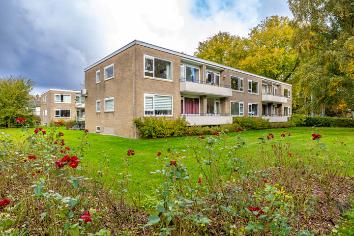 Helperzoom 165 main image