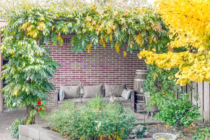 Photo 28 of Bachplantsoen 6