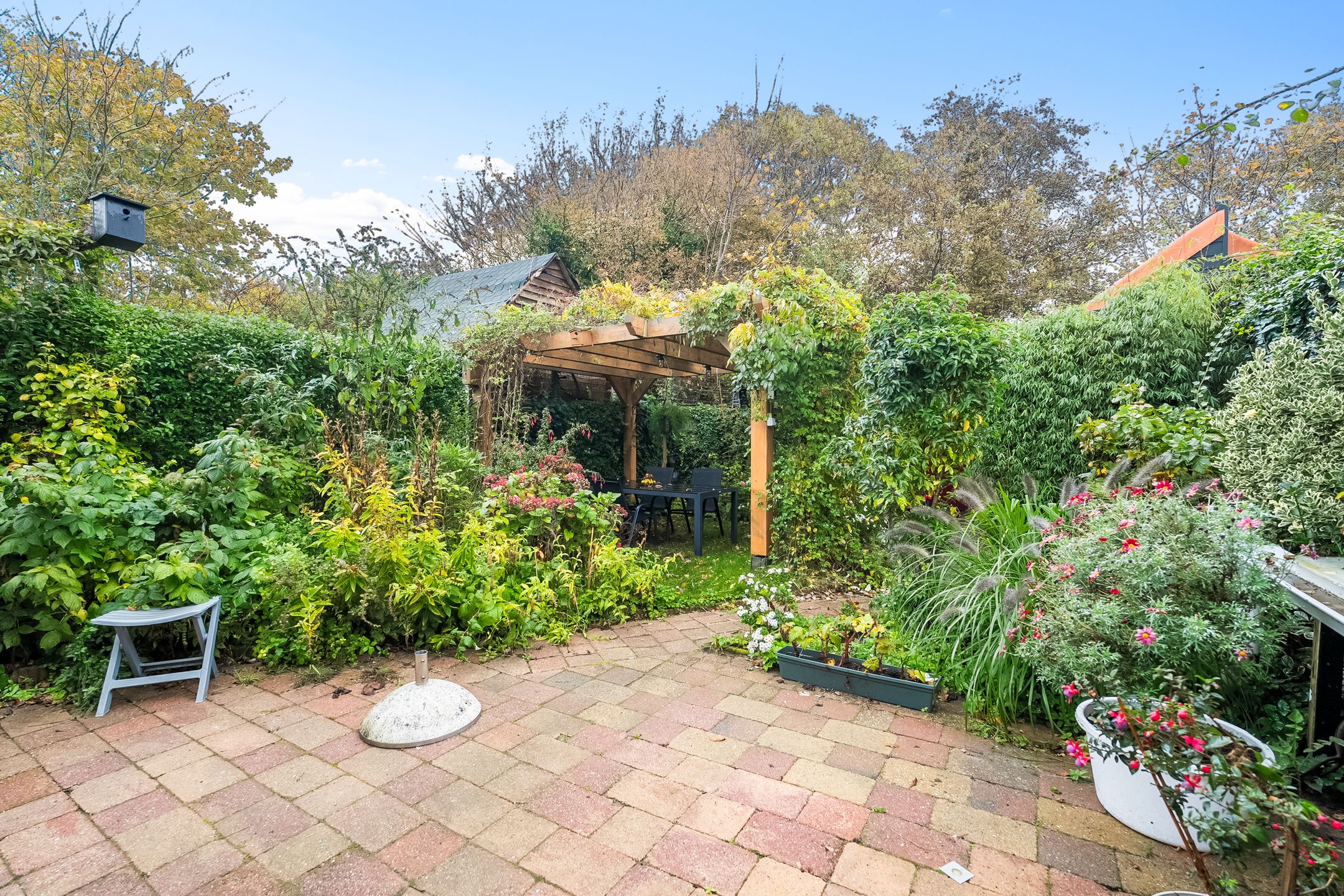 Photo 27 of Wierbalg 1313