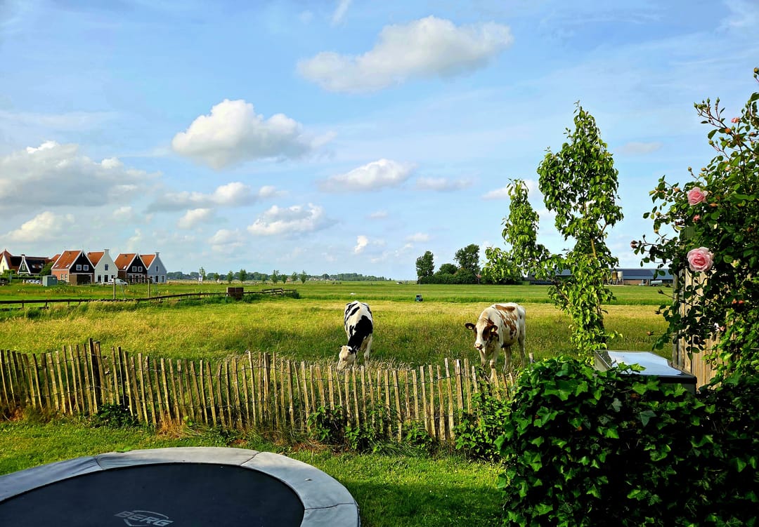 Foto 71 van Zuiderwouder Dorpsstraat 11-A