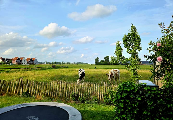 Photo 71 of Zuiderwouder Dorpsstraat 11-A