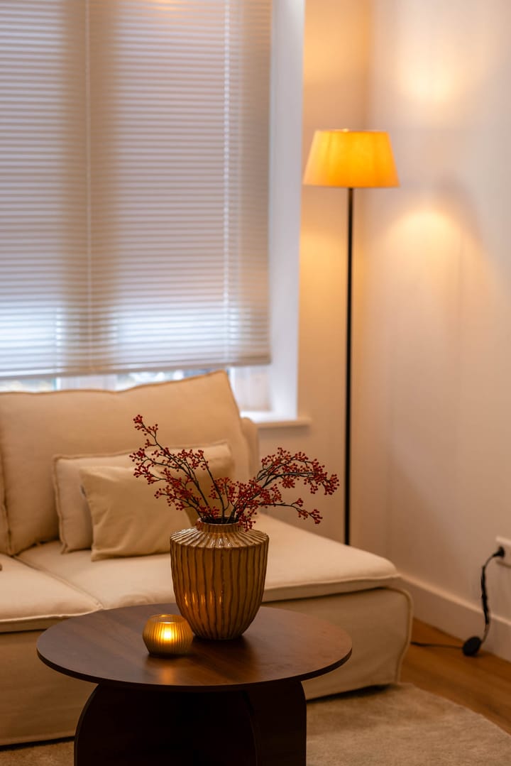 Photo 5 of Provenierssingel 31-B