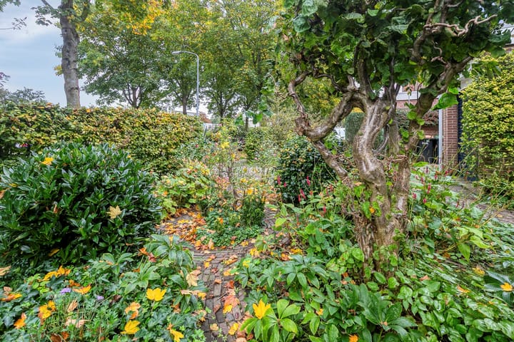 Foto 11 van Muiderweg 17