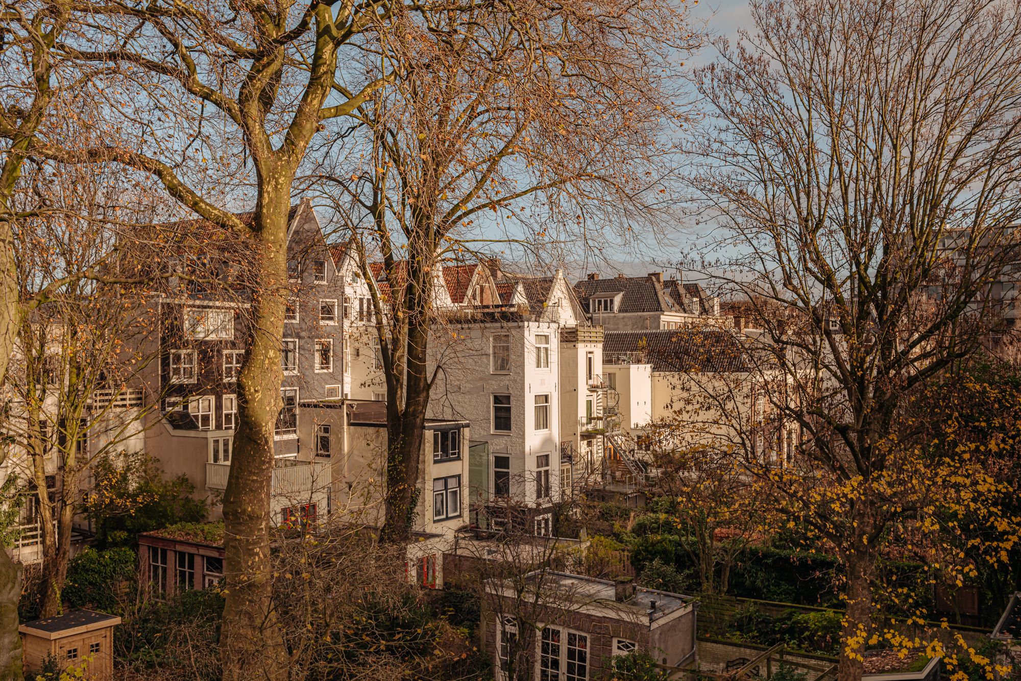 Photo 18 of Amstel 71-2