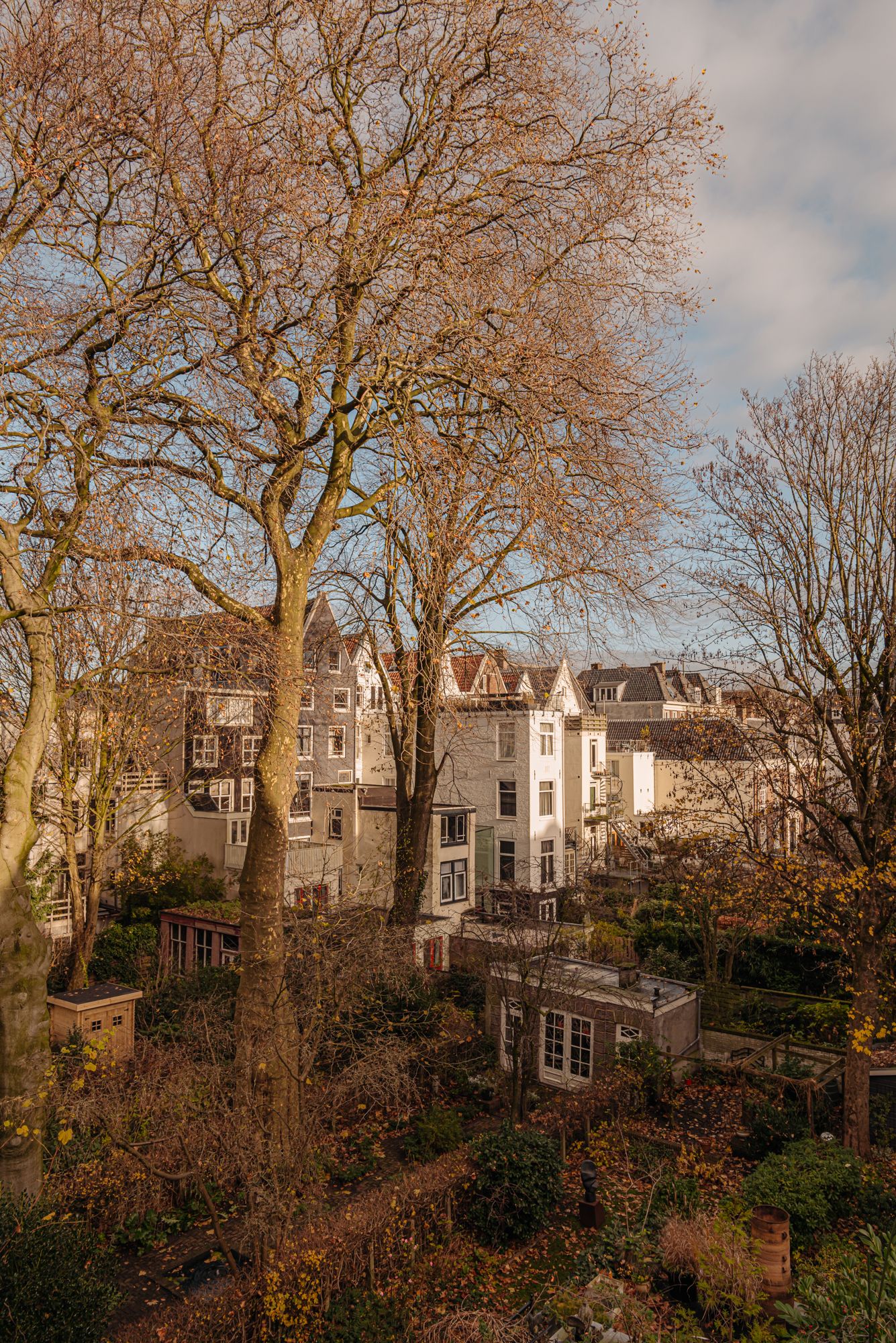 Photo 19 of Amstel 71-2