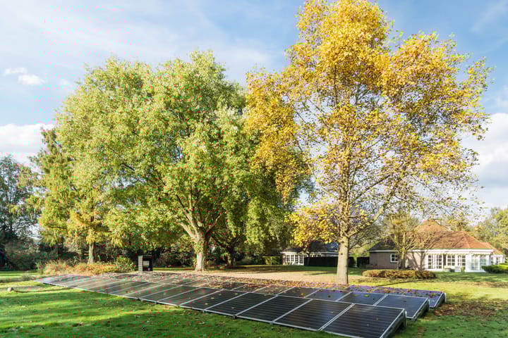 Foto 37 van Heijtmorgen 40