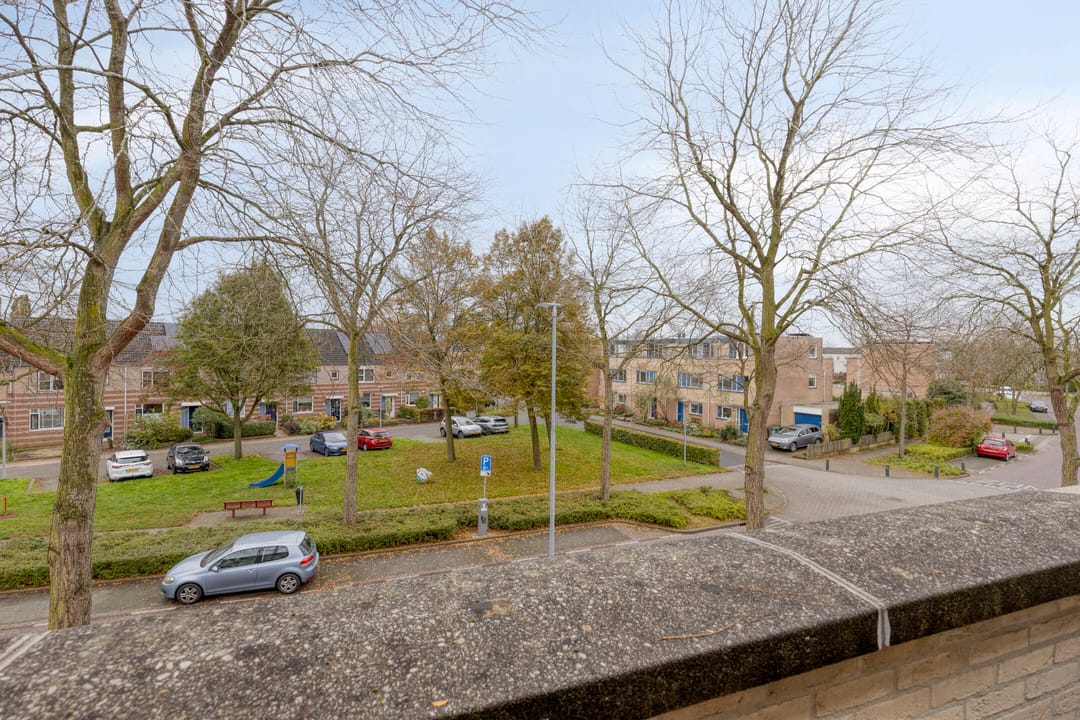 Foto 31 van Ien Dalessingel 119